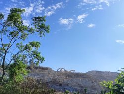 Ketua KNPI Marusu Ajak Pimpinan OKP dan Ormas turut terlibat Atasi Dugaan Aktivitas Tambang Ilegal Di Marusu*