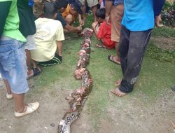 Ipda Malik Menuju TKP Penemuan Mayat Berjenis Kelamin Perempuan Wara Barat