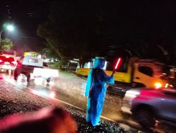Cuaca Ekstrem Melanda Kota Palopo Sehingga Pohon Banyak Yang Tumbang