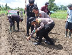 Penanaman Bibit Jagung Serentak Seluruh Indonesia Di Wilayah Hukum Polres Yahukimo