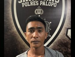 Kasi Humas Polres Palopo, AKP Supriadi mengatakan kasus pencurian ini terjadi di Jl. Dahlia, Kelurahan Tompotikka,