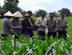 kesejahteraan petani, serta menjaga stabilitas ekonomi masyarakat.