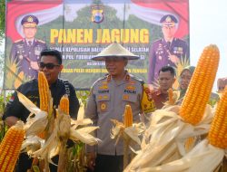 Kapolda Sulsel Hadiri Panen Jagung Program Ketahanan Pangan di Kabupaten Wajo*