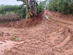 Tambang Ilegal Lumpuhkan Desa Panaikang: Petani Terisolir, Lingkungan Rusak, Konflik Memanas!