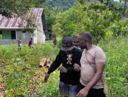 Polsek Demta Polda Papua Berhasil Tangkap 2 Pelaku Pengedar Narkotika Jenis Ganja