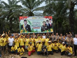 Melalui Virtual Zoom, Polda Papua Ikuti Panen Raya Jagung Secara Serentak Kuartal II Tahun 2025 di Keerom