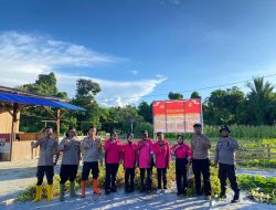 Dukung Ketahanan Pangan Nasional, Kapolsek Pantai Timur Panen Kacang Tanah dan Jagung