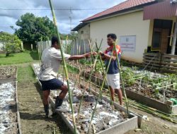 Polsek Elikobel Laksanakan Program Ketahanan Pangan di Pekarangan Bergizi
