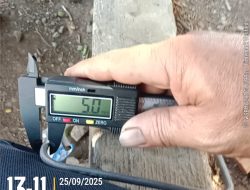 Proyek Revitalisasi SMA Negeri 6 Tolo Diduga Tak Sesuai Perencanaan, LPRI Soroti Penggunaan Material